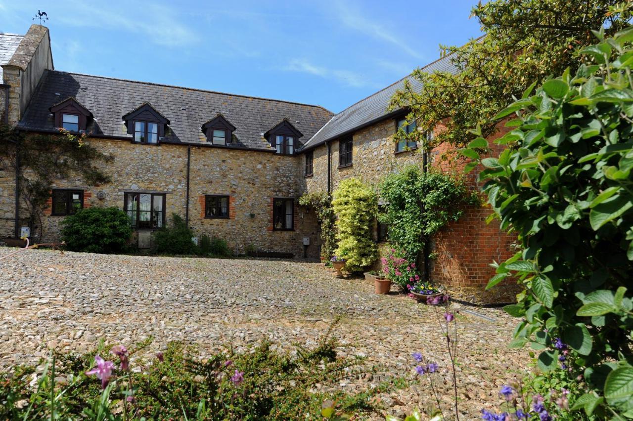 Trill Cottage Musbury Kültér fotó