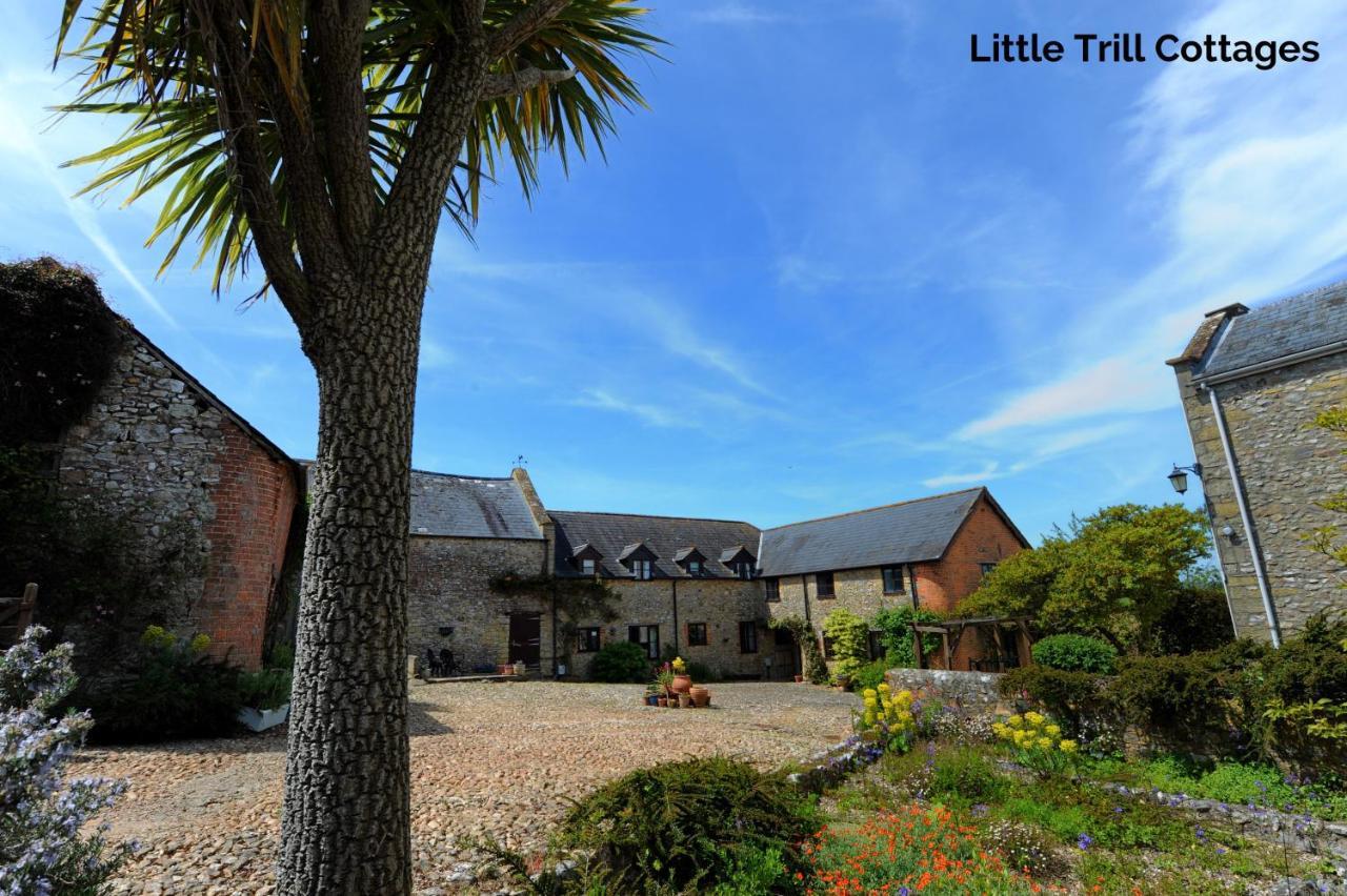 Trill Cottage Musbury Kültér fotó